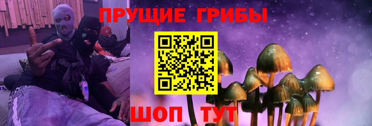 закладка  Вход с VPN  Севастополь  Галлюциногенные грибы Psilocybine cubensis  Псилоцибиновые грибы GOLDEN TEACHER 